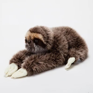 Wydłużony miękki brązowy pluszowy leniwiec na białym tle